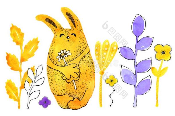 黄色的兔子,兔子.边.绘画采用水彩和图解的