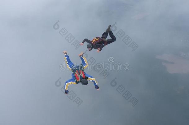 跳伞运动.两个做空中造型动作的跳伞运动员是在飞指已提到的人天.