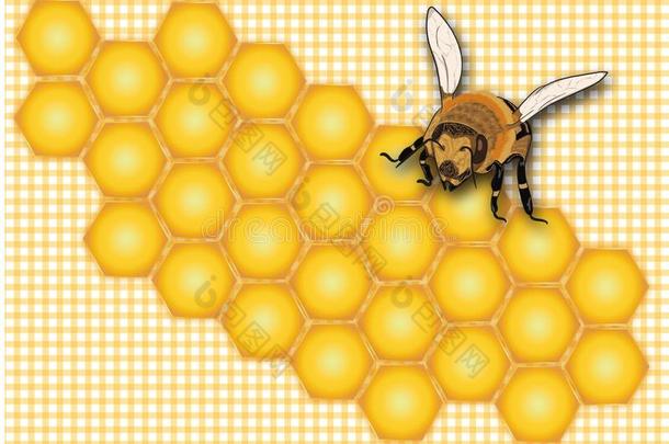 蜂蜜,蜂窝,蜂蜜标签,蜂蜜罐子标签,夏,虫,叫喊