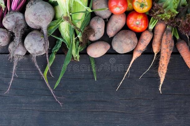 新鲜的蔬菜背景,健康的维生素食物.农业USSR苏联