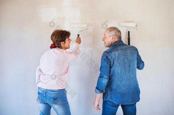 饲养看法关于较高的对绘画墙采用新的家,重新定位
