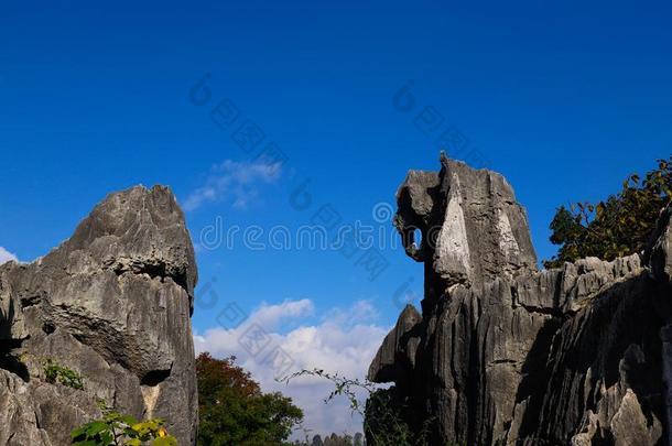 指已提到的人石头森林风景采用云南云南,Ch采用a