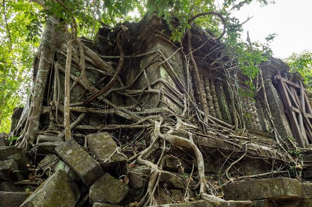 毁坏关于古代的bachelorofengineering工<strong>学士</strong>米勒庙越过丛林,柬埔寨