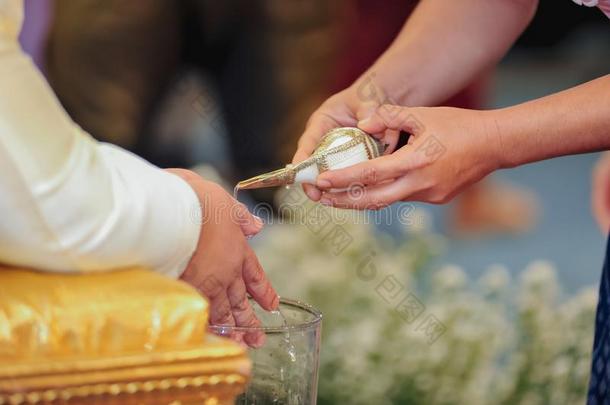 贝壳壳,手传布祝福水,泰国婚礼