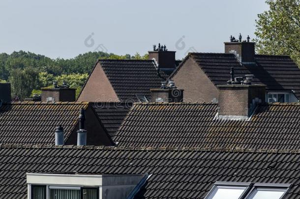 屋顶<strong>景观平铺</strong>的屋顶巴伦区荷兰