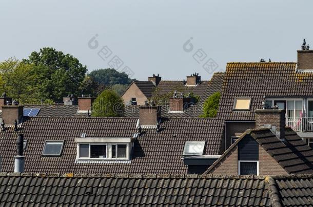 屋顶<strong>景观平铺</strong>的屋顶巴伦区荷兰