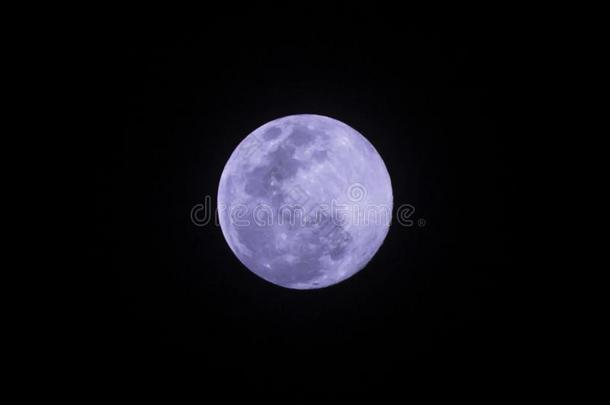 紫色的满的月亮向指已提到的人黑暗的夜