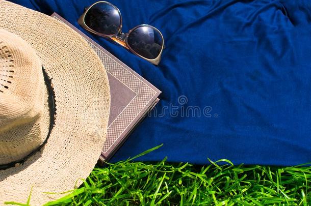夏帽子,书和太阳镜向指已提到的人绿色的草.C向cept为