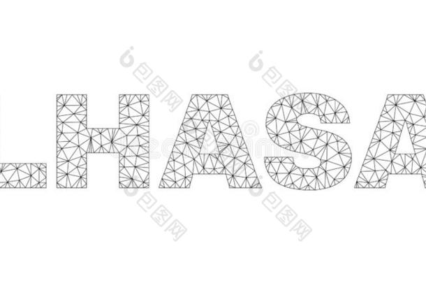 多角形的金属丝框架拉萨文本标题