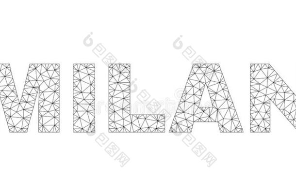 多角形的金属丝框架米兰草帽辫文本标题