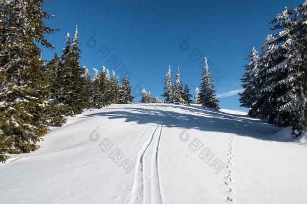 冬风景和很少的树,雪和蓝色天发出<strong>吼叫</strong>声Krizva英语字母表的第8个字母