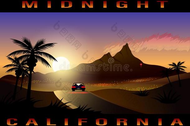 美国加州,子夜城市,热带的风景.