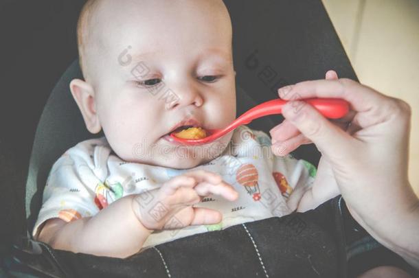 婴儿男孩吃蔬菜粥
