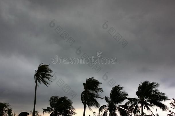 灰色天在之前<strong>台风</strong>或飓风或音调大的st或m来.rain雨