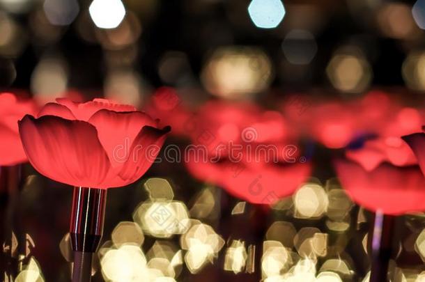 红色的玫瑰向抽象的焦外成像背景为爱情人â英文字母表的第19个字母是