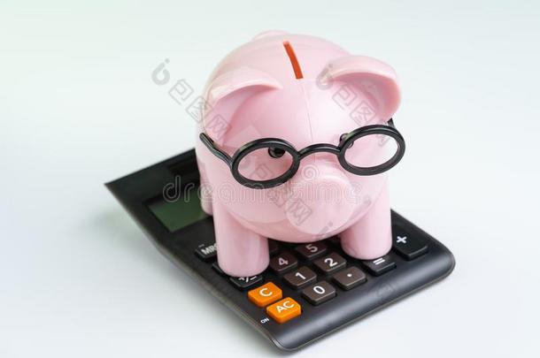 粉红色的小猪银行使人疲乏的眼镜向黑的计算器向白色的用绳子拖的平底渡船