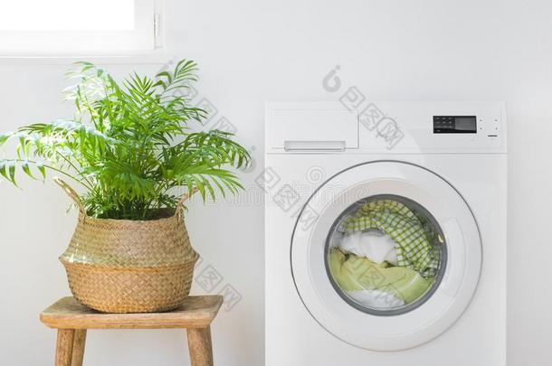 洗涤机器和洗衣店,植物罐和阳光从窗