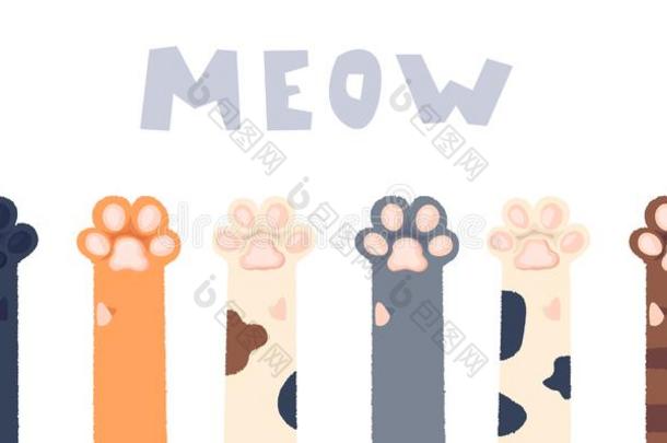 猫<strong>爪子</strong>壁纸,木头支架,狗<strong>爪子</strong>,猫背景,小猫平的英语字母表中的第四个字母