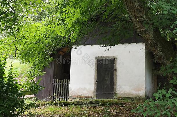 老的小的房屋经过树采用美丽的自然美丽的