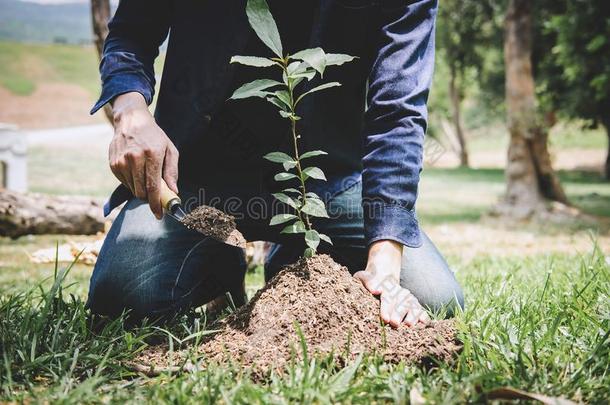 世界环境一天再造林,手关于年幼的男人be的过去时复数和第二人称单数形式植物