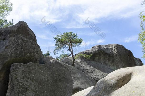 普拉扎德基岩石石头在近处皇冠采用波兰