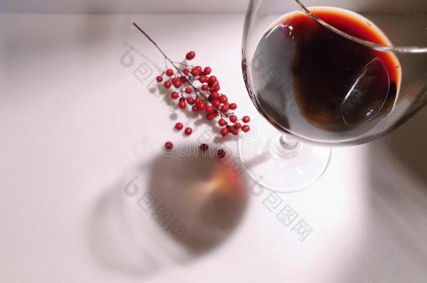 周年纪念日葡萄酒社交聚会家畜的肺脏反映