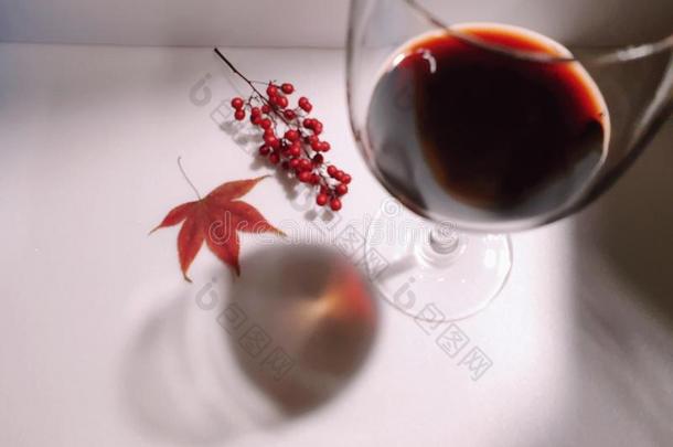 周年纪念日葡萄酒社交聚会家畜的肺脏反映