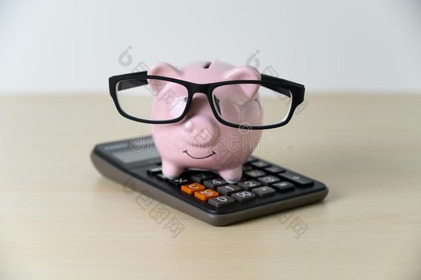 财政的保险小猪银行和计算器退休计划一