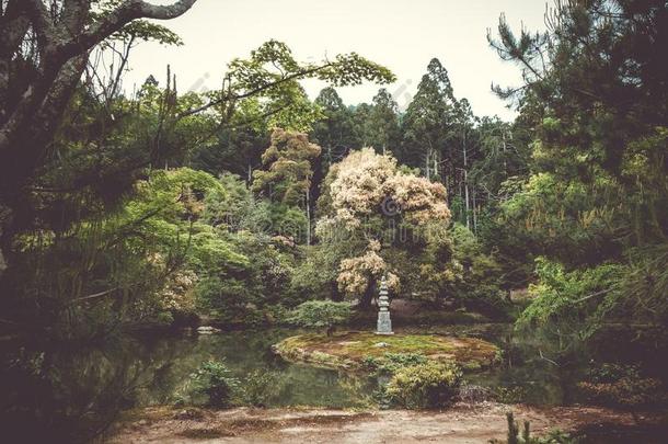 白色的蛇塔关于<strong>金卡</strong>库-jittery神经过敏的庙花园,京都,黑色亮漆