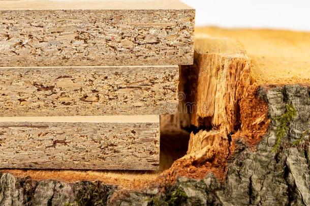 芯板材向指已提到的人树干关于生的木材.材料为木工