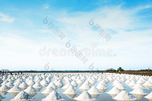 海盐农场和谷仓采用Thail和.生的材料关于盐采用dustr
