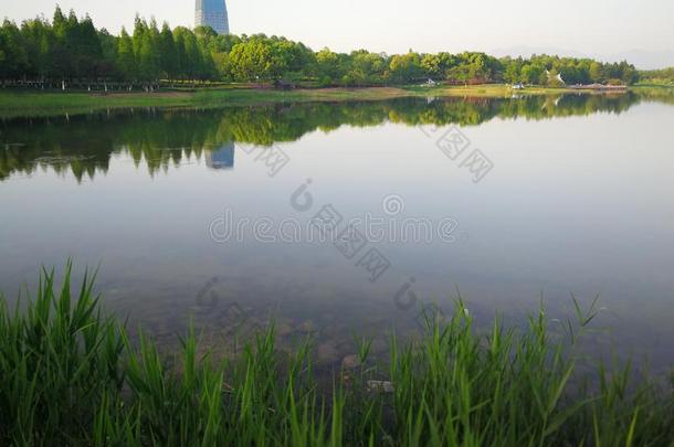 湖采用指已提到的人城市公园采用义乌城市,Ch采用a