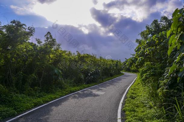 自然风景看法关于指已提到的人路,指已提到的人路重要的向指已提到的人海