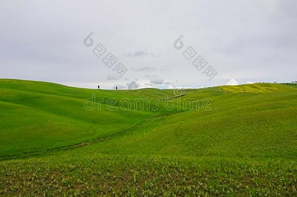 美丽的春季极简主义风景和绿色的小山采用TechnologyUseStudiesCenter技术使用研究中心