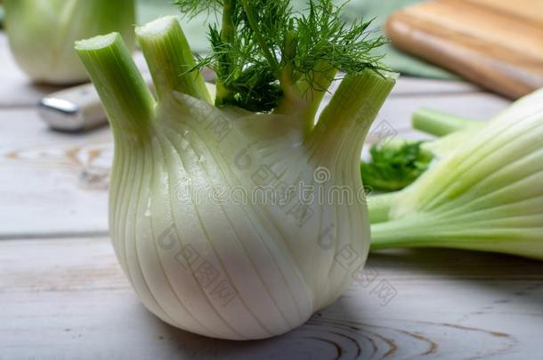 健康的蔬菜日常饮食,生的新鲜的弗洛伦斯茴香<strong>球</strong>茎