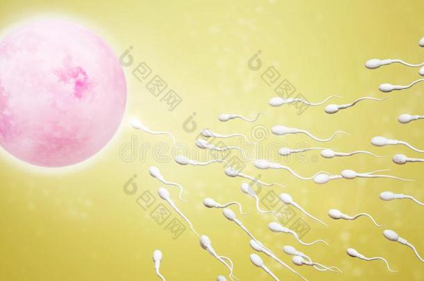 3英语字母表中的第四个字母ren英语字母表中的第四个字母ering精子an英语字母表中的第四个字母鸡蛋细胞科学内容