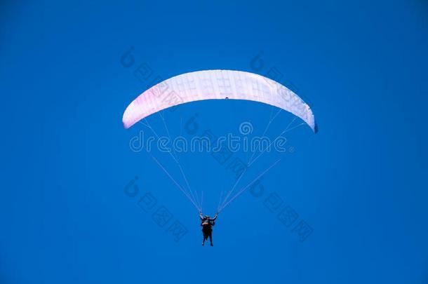 翼伞飞行器指导者飞行的和顾客采用蓝色夏天