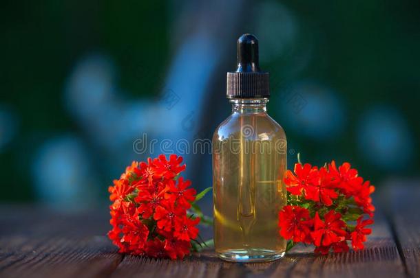 蝇子草属植物基本的油采用美丽的瓶子向木制的背景