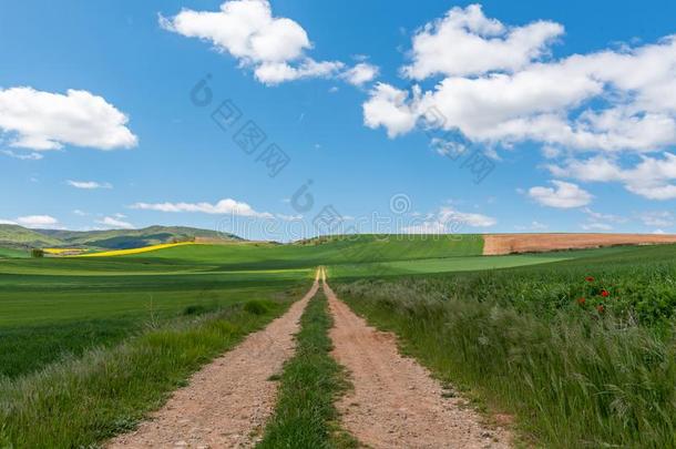 美丽的农业的风景向指已提到的人道路关于SaoTomePrincipe圣多美和普林西比.詹姆士,卡米诺