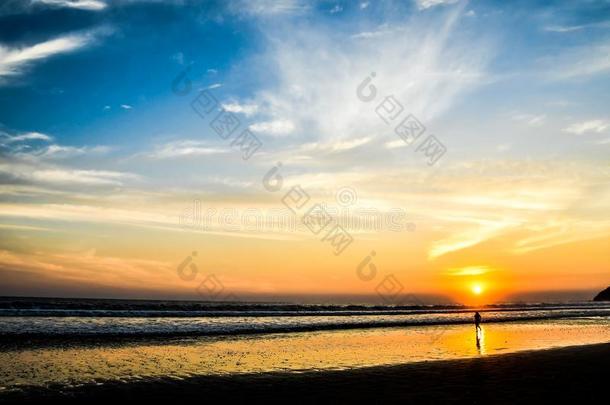 日落向海滩,采用哈科肋反向免疫细胞粘着中央的ame反向免疫细胞粘着