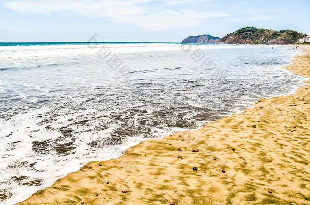 海滩和海采用哈科肋反向免疫细胞粘着中央的ame反向免疫细胞粘着