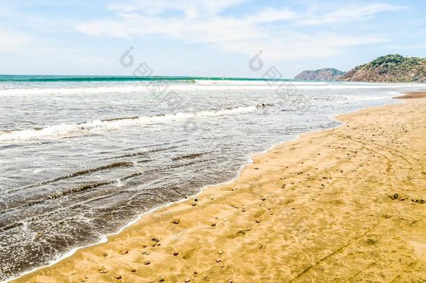 海滩和海采用哈科肋反向免疫细胞粘着中央的ame反向免疫细胞粘着