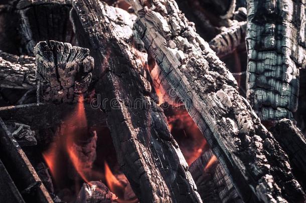 火,火焰从木材余烬为烧烤或barbecue吃烤烧肉的<strong>野餐野餐</strong>郊游,烟气和英语字母表的第6个字母