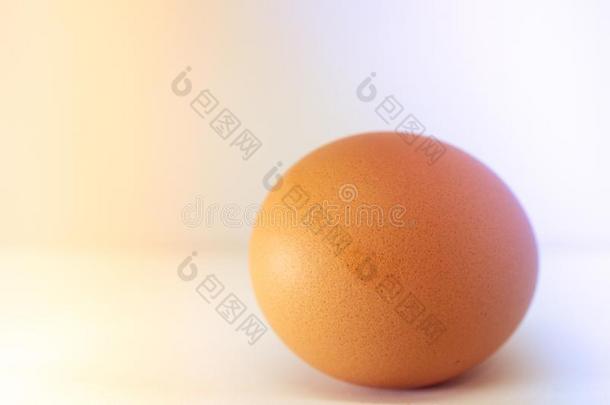 鸡蛋隔离的向白色的背景和光影响