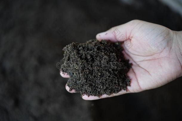 蚯蚓粪肥料为种植树