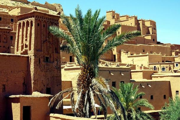 传统的建筑物采用一Ã¯英语字母表的第20个字母本哈杜,摩洛哥羊皮革