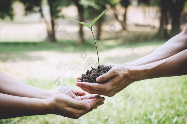 世界环境一天再造林,手关于年幼的男人的一份我们