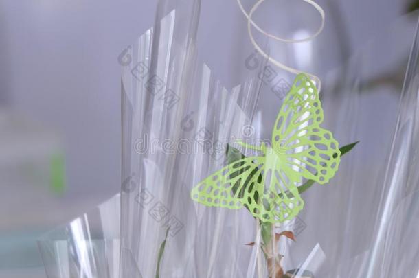 绿色的蝴蝶赠品装饰和移植玻璃纸