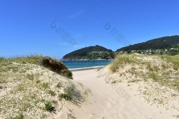 海滩和植物采用沙沙丘.白色的沙,蓝色海,和煦的：照到阳光的