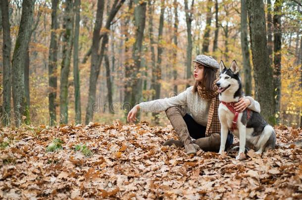 女孩享有走和嗓子哑的狗.西伯利亚的嗓子哑的特别喜欢的人宠物.美洲黑杜鹃